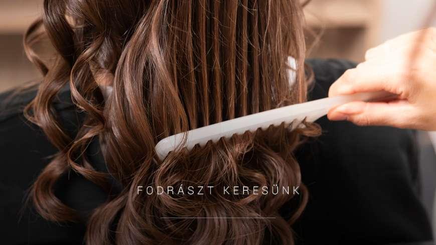 FODRÁSZ MUNKATÁRSAT KERESÜNK